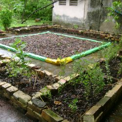 2009,Terrace garden