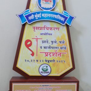 9th Navi Mumbai Mahanagarpalika Vrukshapradhikaran-2015