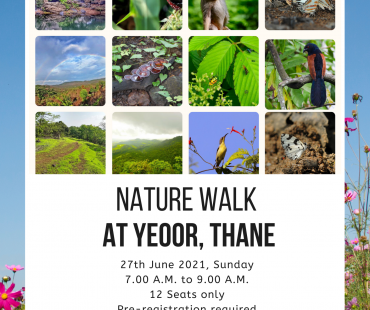 Nature walk at Yeoor hill, Thane